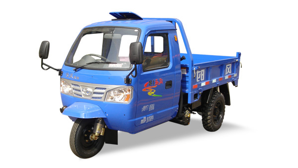 ȫ����������