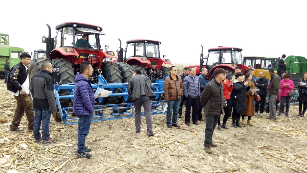 ����Ǯ��